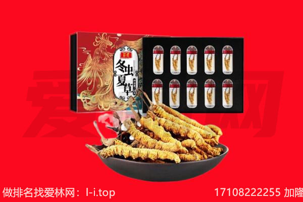 锡林郭勒锡林浩特回收虫草.jpg